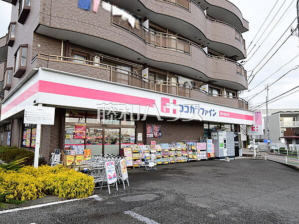 ココカラファイン国分寺並木店 (440m)