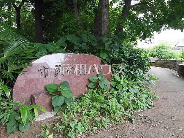 市民の森公園 (200m)