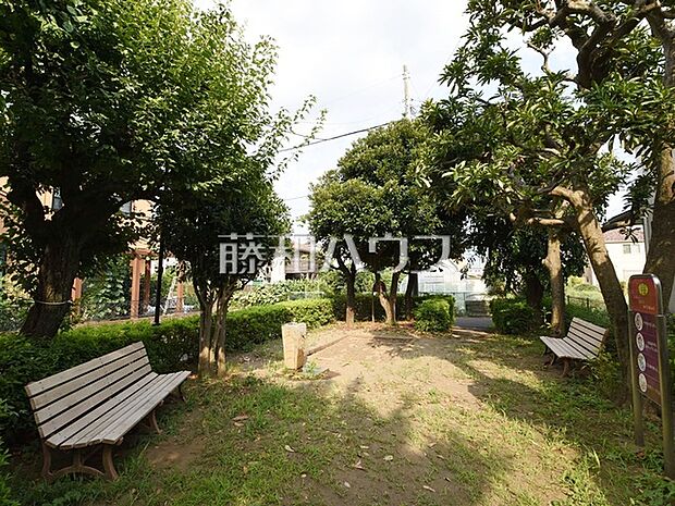 えのき公園 (1160m)