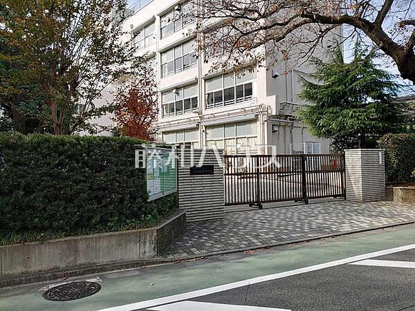 練馬区立石神井南中学校 (500m)
