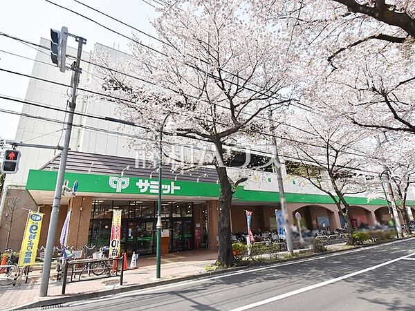 サミットストア大泉学園店 (790m)