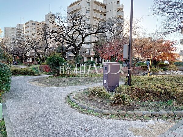 西東京市さくら公園 (690m)