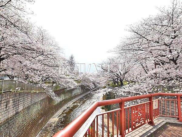 山下橋 (670m)