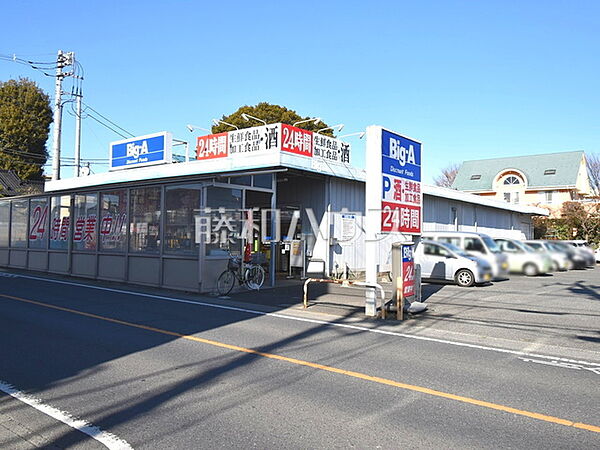 ビッグ・エー 東久留米南沢店 (920m)