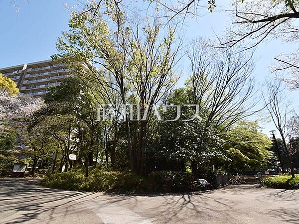 春の風公園 (130m)