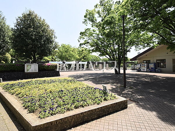 日野市 市民の森スポーツ公園 (560m)