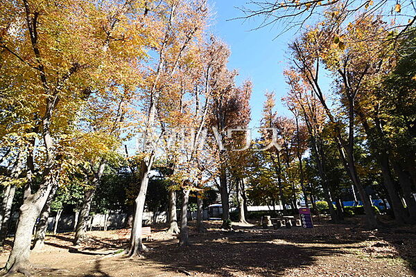 北町公園 （武蔵野市） (390m)