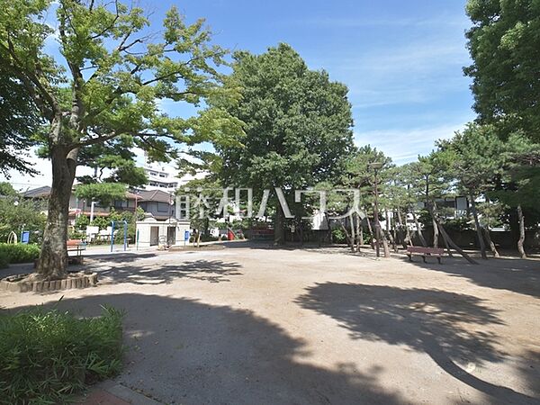 中野区立東山公園 (350m)
