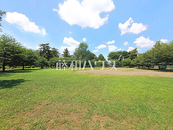 大南公園 (420m)