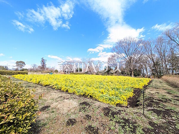小宮公園 (890m)