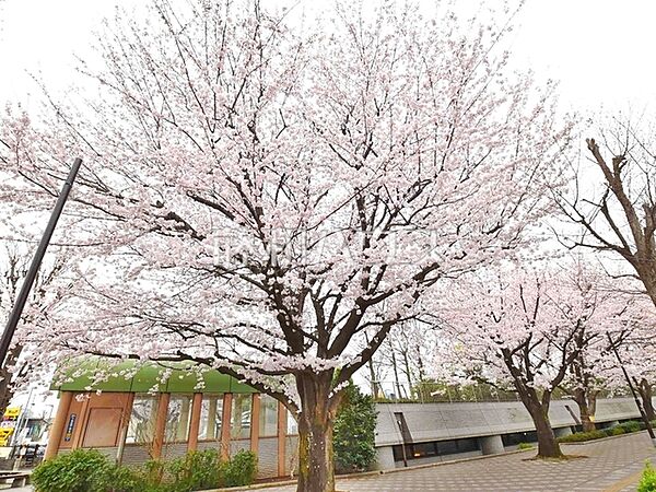 あらやしき公園 (610m)