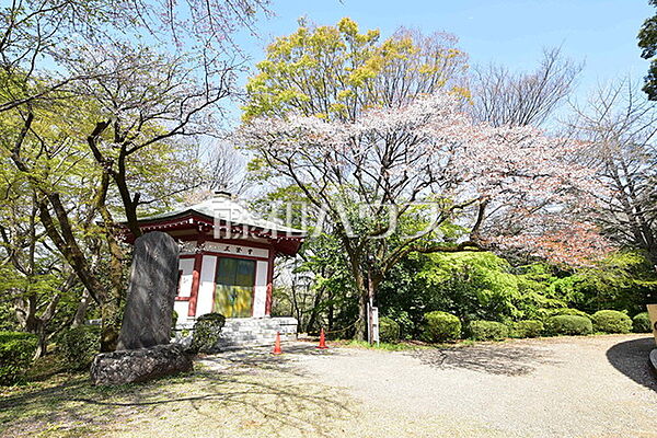 桜ヶ丘公園 (730m)