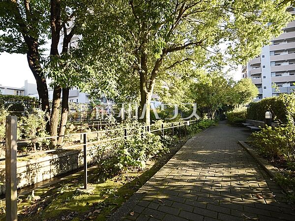 鈴木町親水公園 (150m)