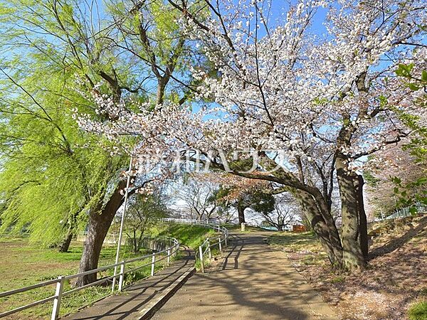 白山公園 (849m)