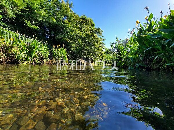 落合川いこいの水辺 (660m)