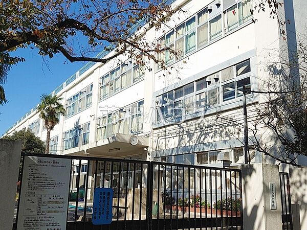 杉並区立八成小学校 (250m)