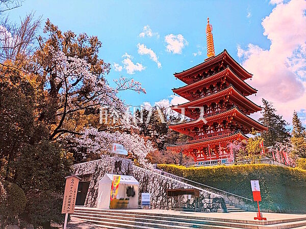 高幡山明王院金剛寺(高幡不動尊) (1320m)