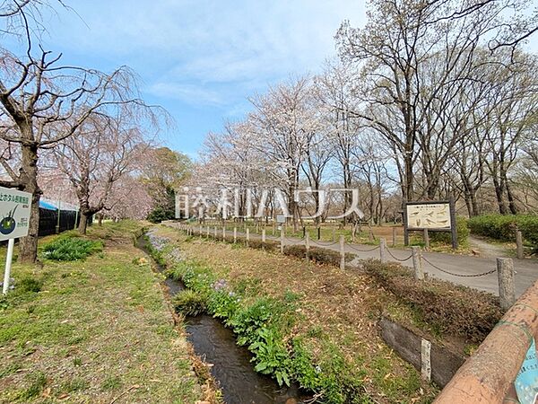 野火止野鳥の森(ホタルの里） (1150m)