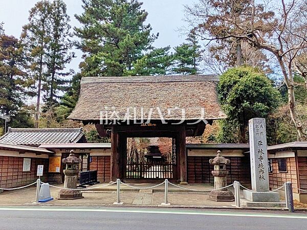 天然記念物 平林寺境内林 (450m)