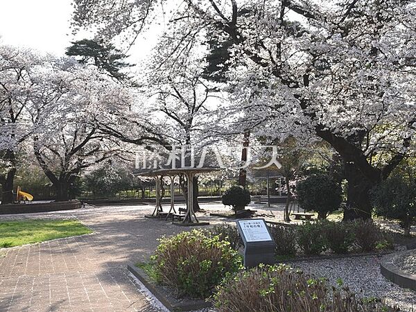 清瀬中央公園 (910m)