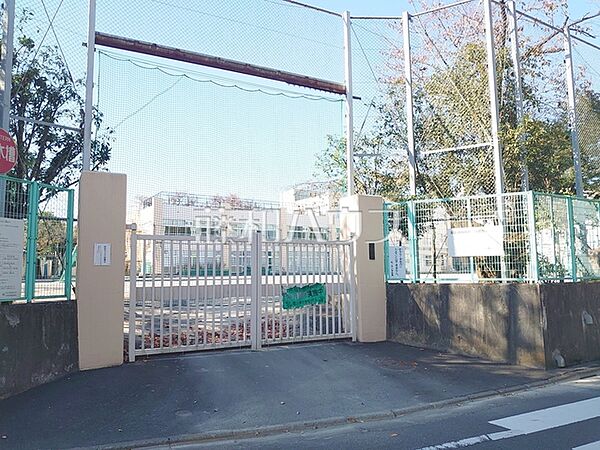 杉並区立松ノ木小学校 (500m)