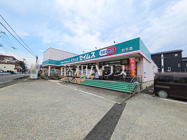 ドラッグセイムス 白子店 (500m)