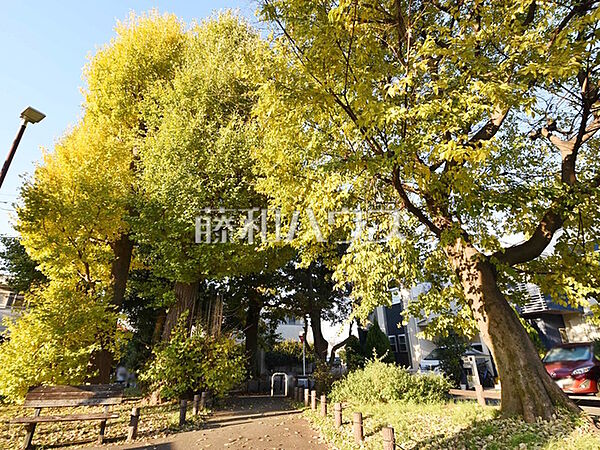 練馬区立 早宮こかげ緑地 (420m)