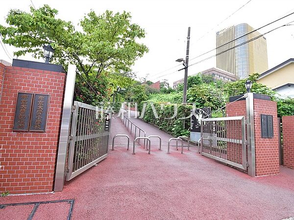 帝京大学幼稚園 (1000m)