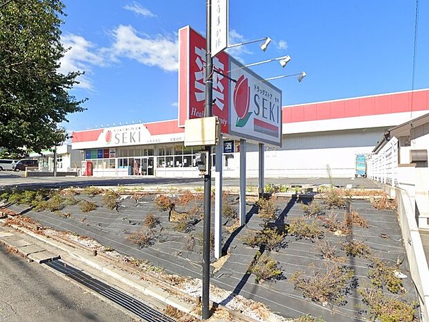 ドラッグストアセキ小手指南店 (300m)