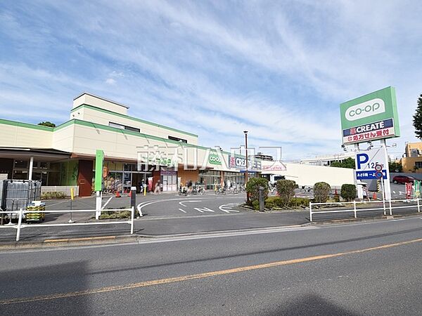 コープみらい コープ柴崎店 (290m)