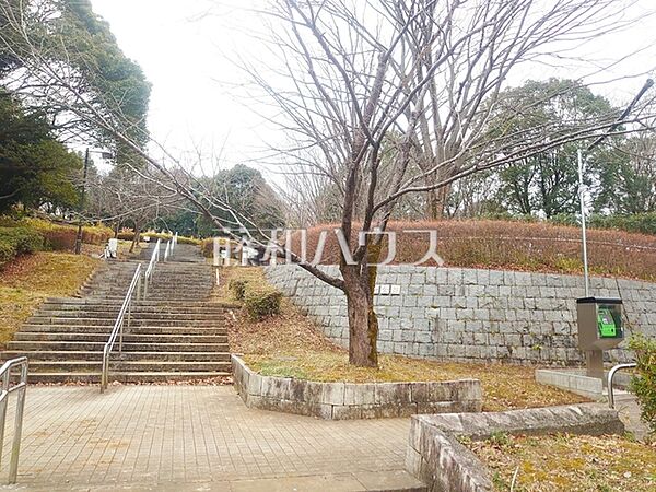 富士見台公園 (1060m)