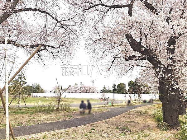 都立高井戸公園 (1360m)