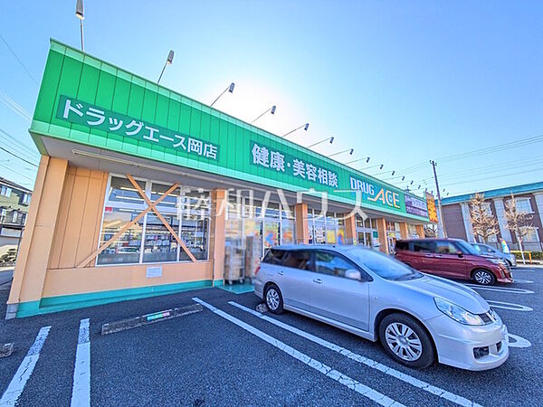 ドラッグエース 岡店 (430m)