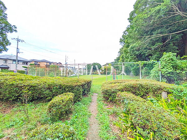 鹿島公園 (90m)