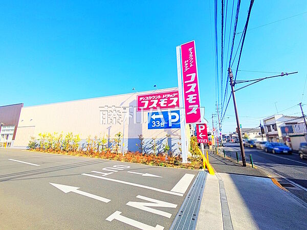 ドラッグストアコスモス 叶谷店 (660m)