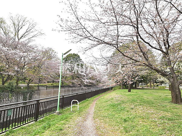 都立祖師谷公園 (880m)