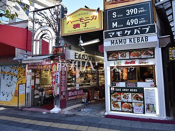 ハーモニカ横丁 (650m)