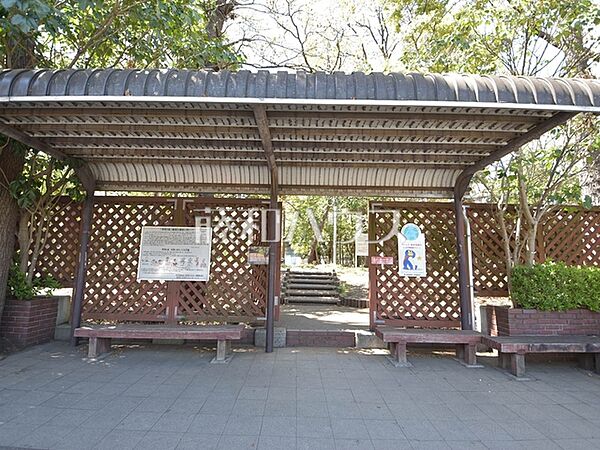 発想の森 (470m)
