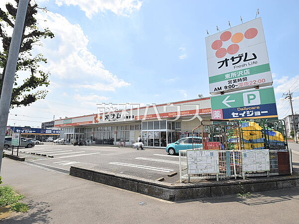 スーパーオザム 東所沢店 (1030m)