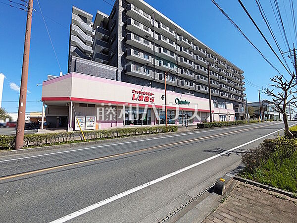 ファッションセンターしまむら 野火止店 (770m)