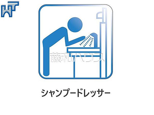 シャンプードレッサー