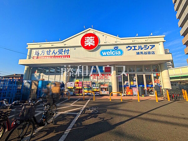 ウエルシア練馬谷原店 (100m)