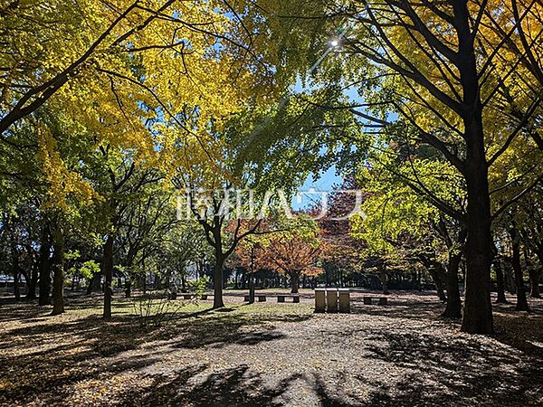 世田谷区立千歳中学校 (450m)