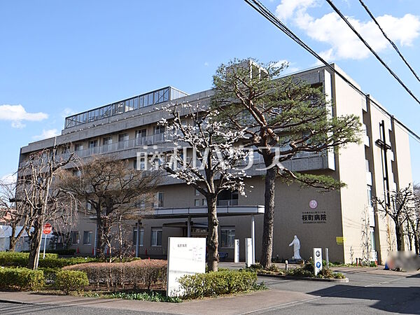 聖ヨハネ会 桜町病院 (750m)