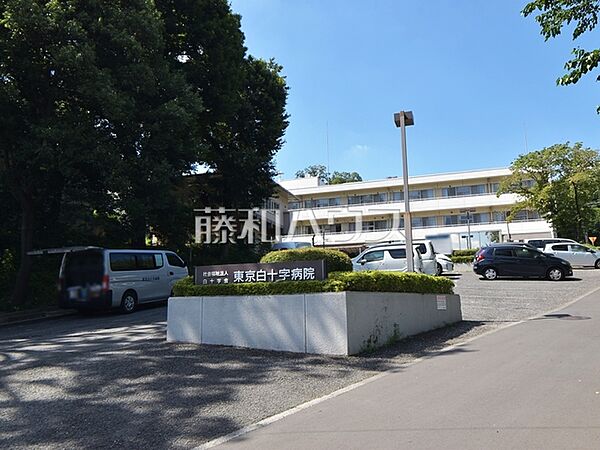 東京白十字病院 (1040m)