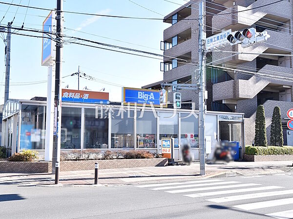 ビッグ・エー 田無向台店 (300m)