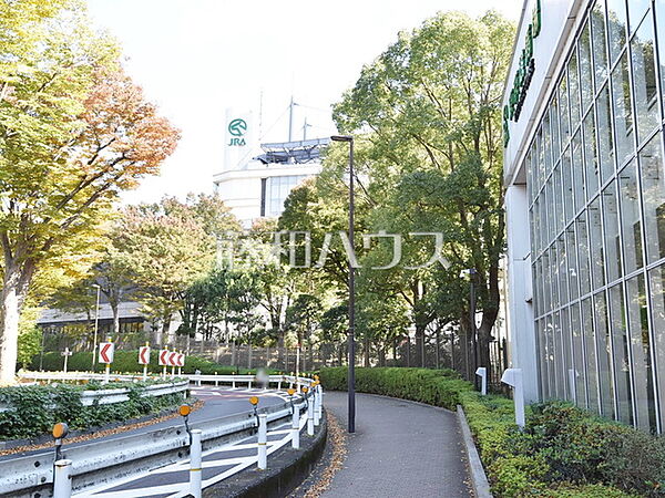 ＪＲＡ東京競馬場 (940m)