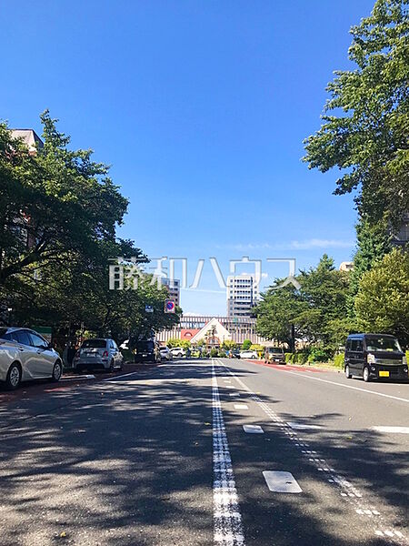 大学通り(国立市東～富士見台1丁目) (690m)