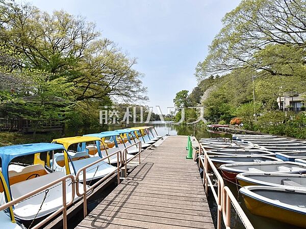 東京都立 善福寺公園 (950m)