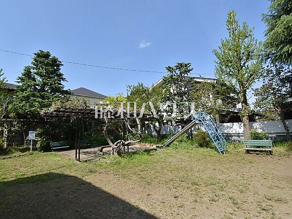 善福寺西の山公園 (950m)